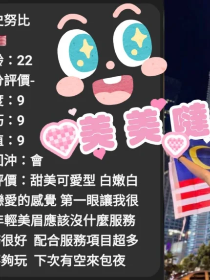 雲林定點茶-史努比/158/46/?/D