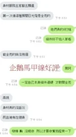 新竹定點茶-企鵝