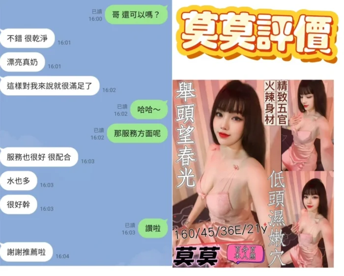 台南定點茶-莫莫