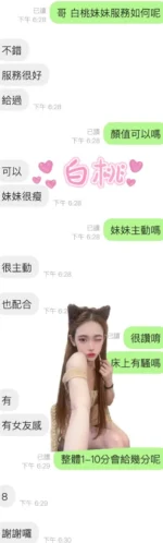 雲林定點茶-白桃
