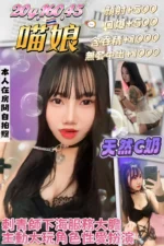 桃園定點茶-貓娘