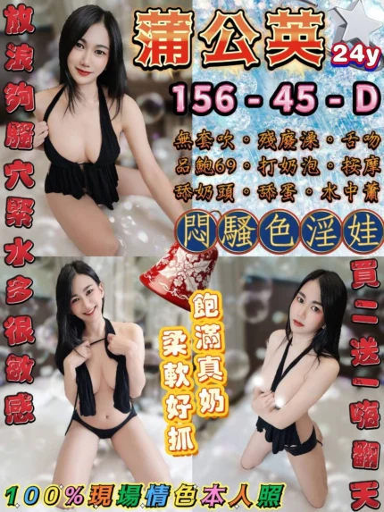 台北定點茶-蒲公英