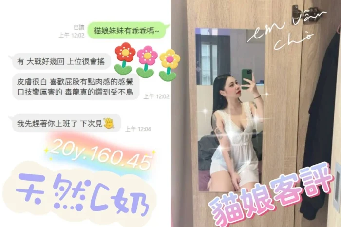 桃園定點茶-貓娘