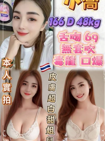 新北定點茶-小喬/166/48/23/D