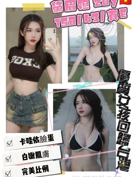 桃園定點茶-黛眉妲/158/43/20/E