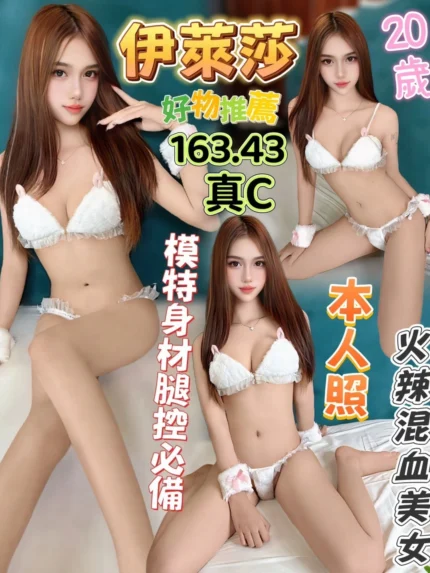 台中定點茶-伊萊莎/163/43/20/C