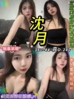 台北定點茶-沈月/160/44/24/D