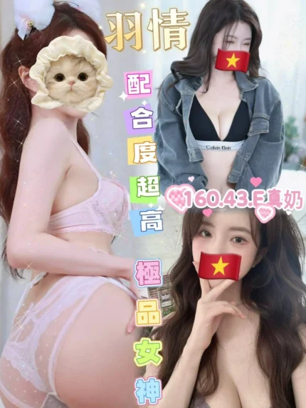 雲林定點茶-羽情/160/43/?/E