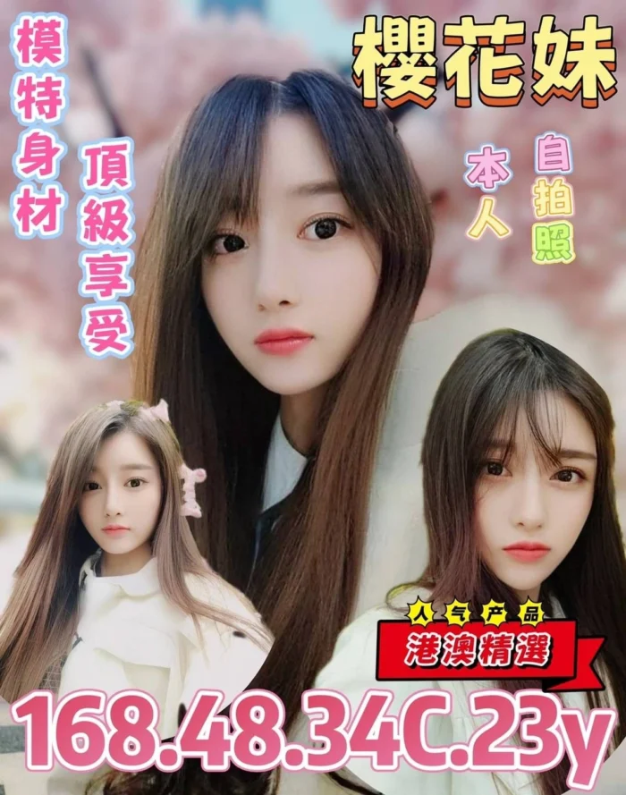 台北定點茶-櫻花妹/168/48/23/C