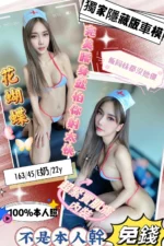 台中定點茶-花蝴蝶/163/45/22/E