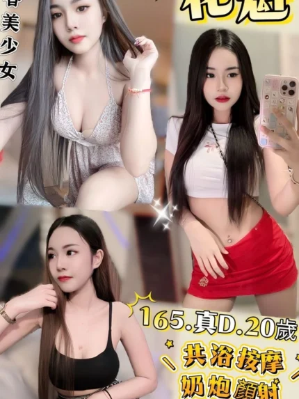 新北定點茶-花魁/165/48/20/D