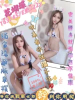 台中定點茶-花蝴蝶/163/45/22/E