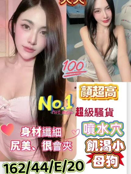 台南定點茶-夾夾/162/44/20/E