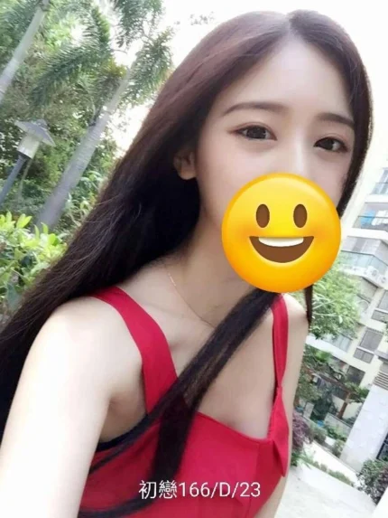 台北外送茶-初戀/166/?/23/D
