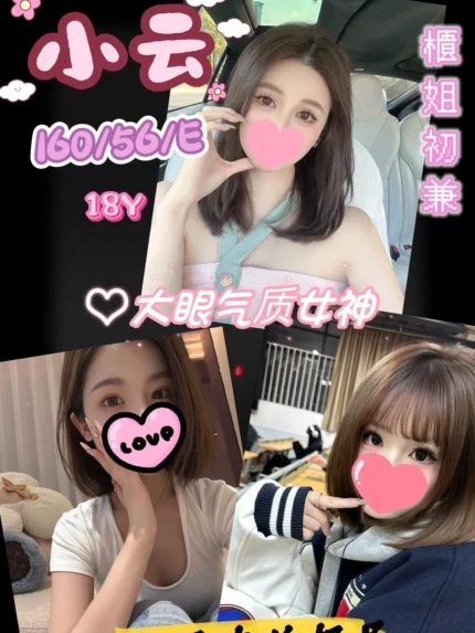 台中定點茶-小云/160/56/18/E