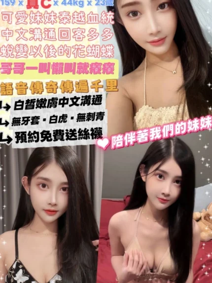 台北定點茶-薛妹妹/159/44/23/C