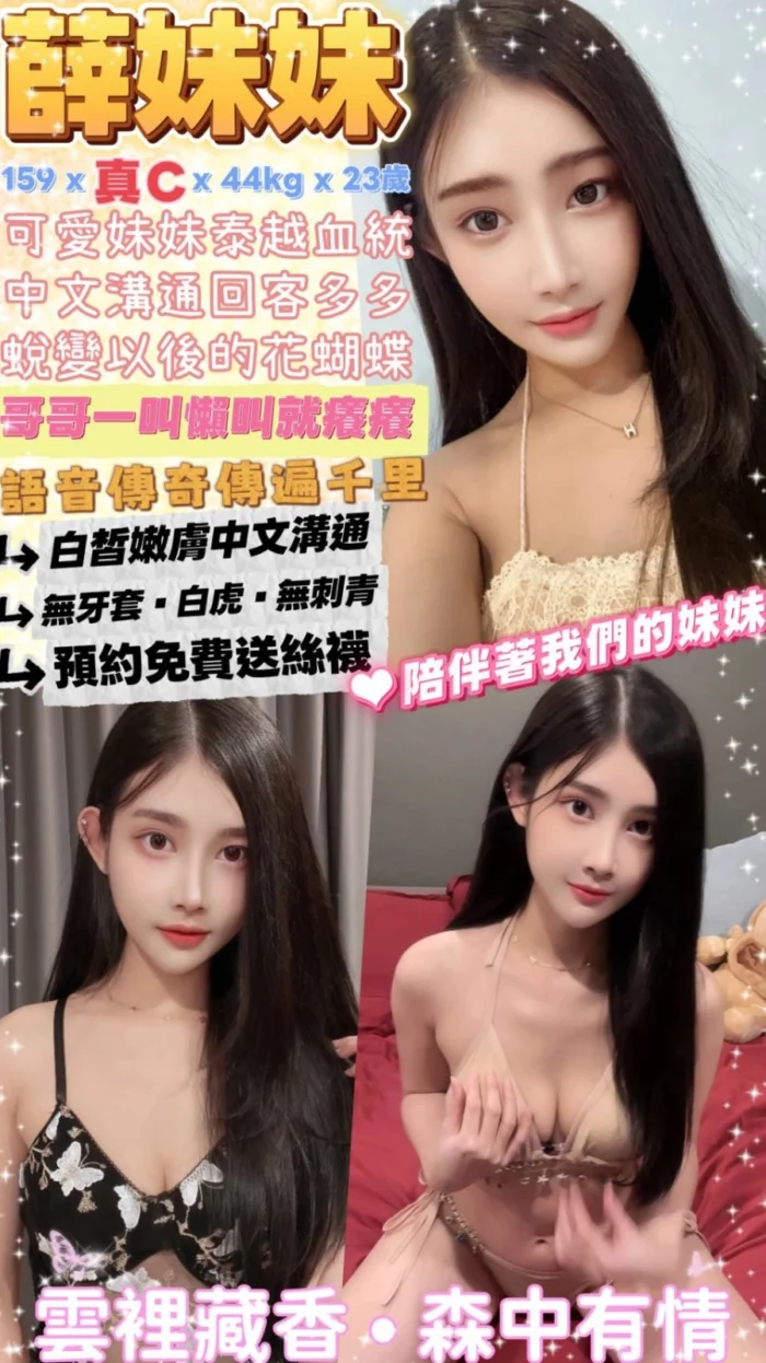 台北定點茶-薛妹妹/159/44/23/C