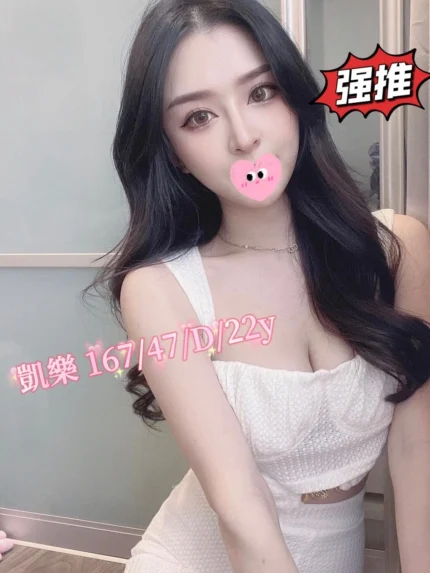 台中外送茶-凱樂/167/47/22/D