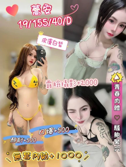 澎湖定點茶-蕎安/155/40/19/D