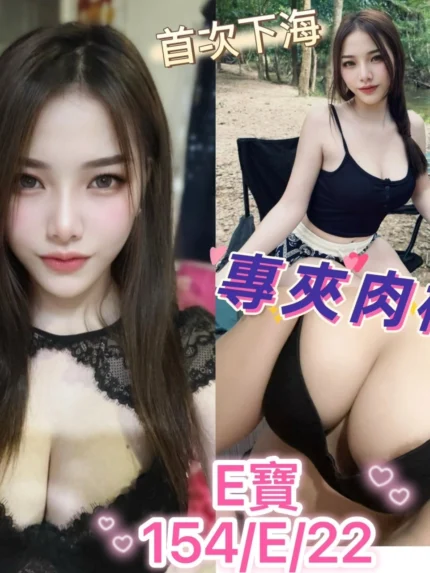 台中定點茶-E寶/153/41/22/E