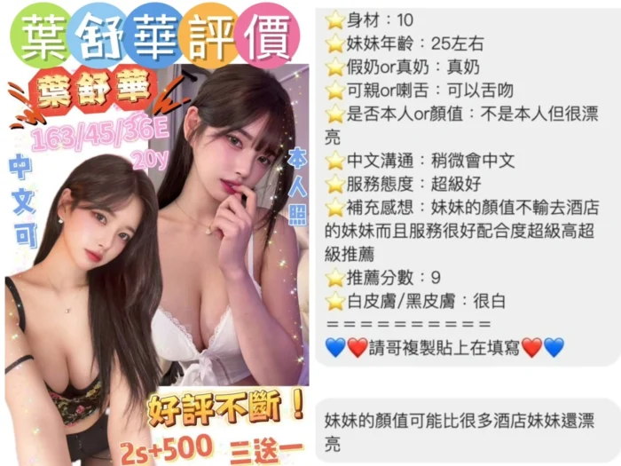 台南定點茶-葉舒華/163/45/20/E