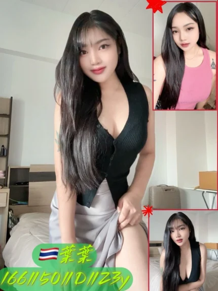 新北定點茶-葉葉/166/50/23/D