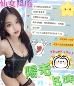 南投定點茶-陽光/162/46/?/C
