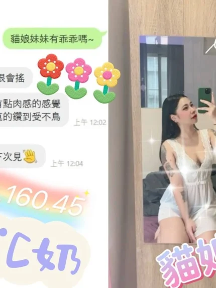 桃園定點茶-貓娘/160/45/20/C
