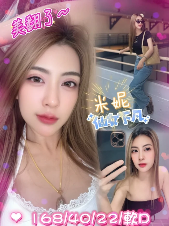 新北定點茶-米妮/168/40/22/D