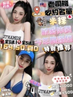 新竹定點茶-米粿/164/50/23/D