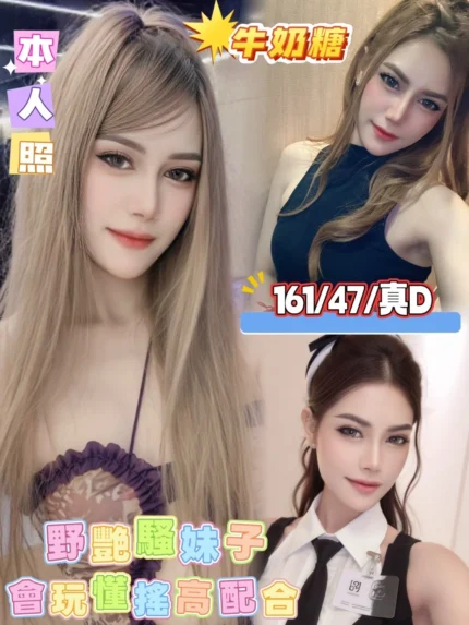 台南定點茶-牛奶糖/161/47/22/D