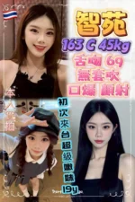 新北定點茶-智苑/163/45/19/C