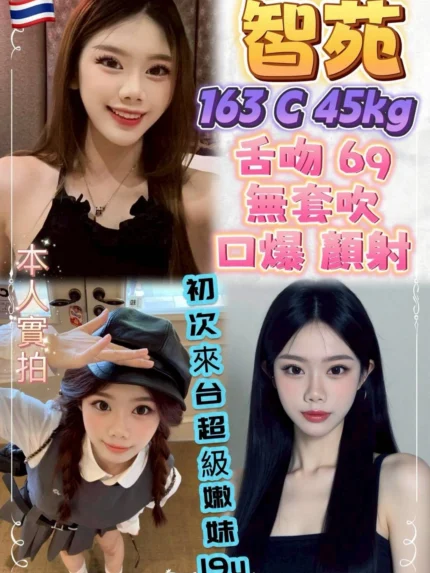 新北定點茶-智苑/163/45/19/C