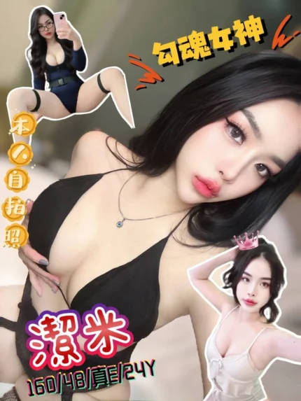 新北定點茶-潔米/160/48/24/E