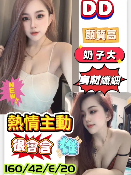 台南定點茶-DD/160/42/20/E