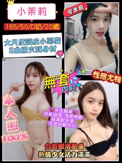 桃園定點茶-小茉莉/165/50/20/D