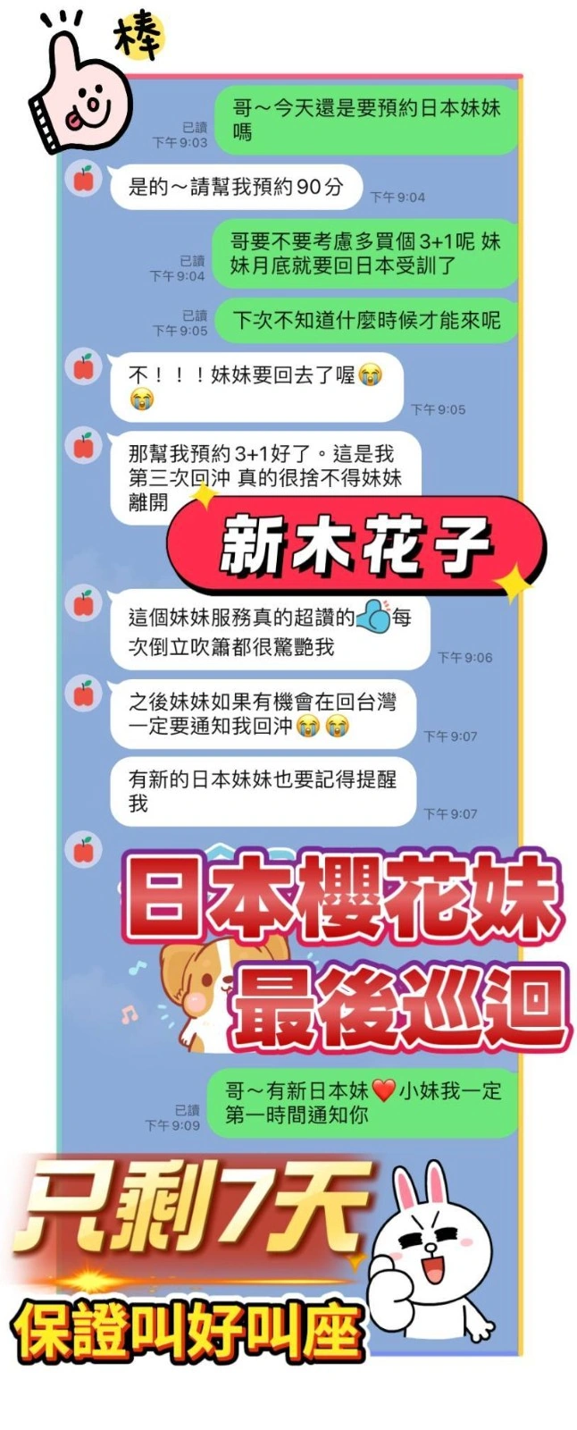 桃園定點茶-新木花子/162/49/21/D 桃園定點茶-新木花子/162/49/21/D