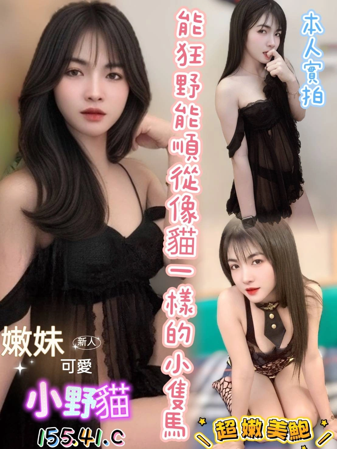 高雄定點茶-小野貓/155/41/23/C 高雄定點茶-小野貓/155/41/23/C