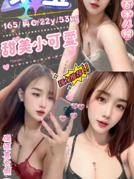 台北定點茶-葵宝/165/53/22/C