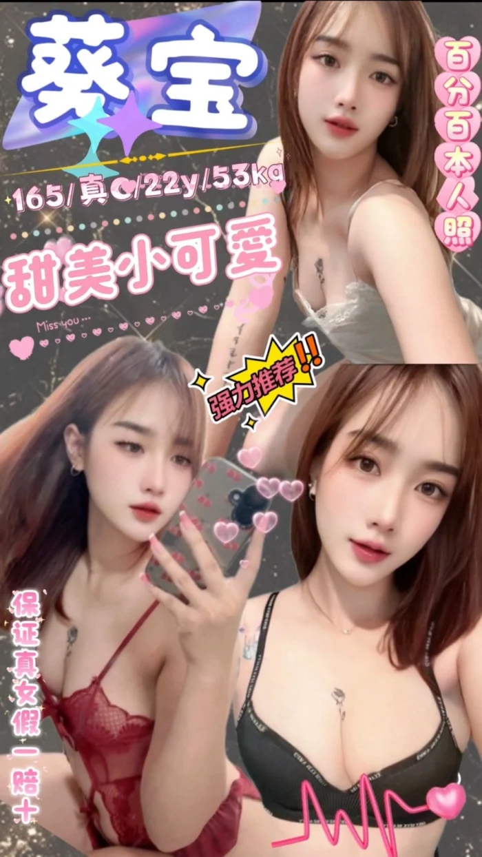台北定點茶-葵宝/165/53/22/C