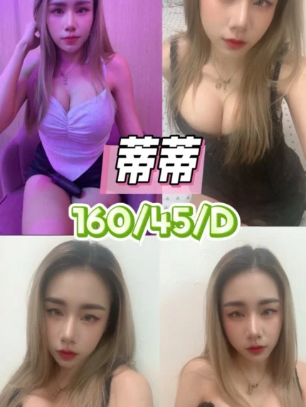 台中定點茶-蒂蒂/160/45/24/D