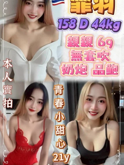 新北定點茶-霏羽/158/44/21/D