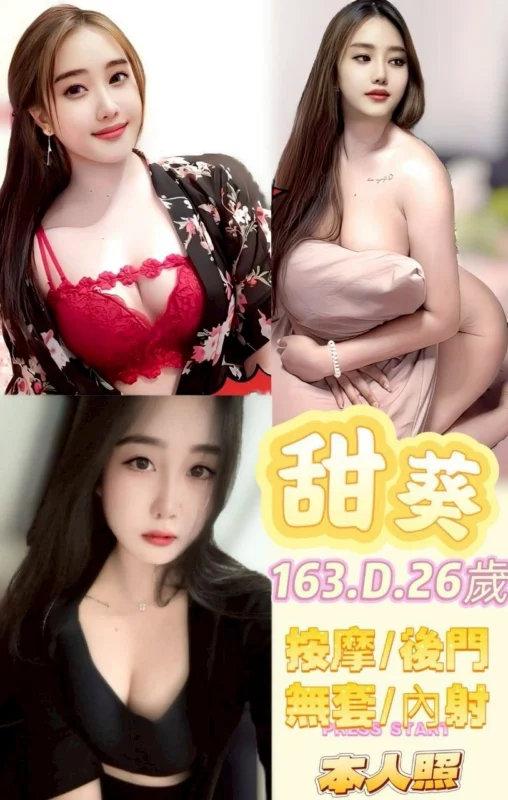 新北定點茶-甜葵/163/50/26/D