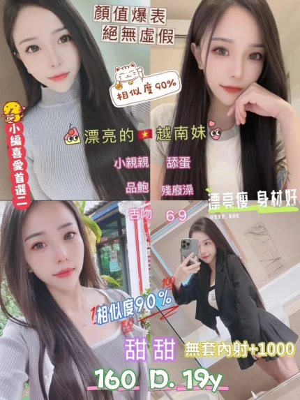 新北定點茶-甜甜/160/47/19/D