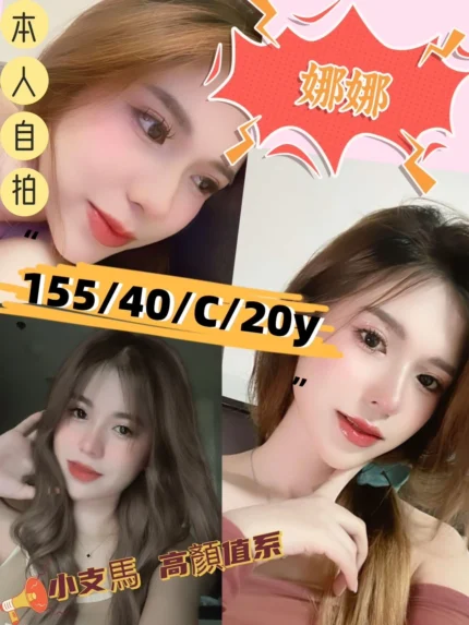 新竹定點茶-娜娜/155/40/20/C