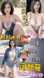 高雄定點茶-河智苑/165/46/25/D