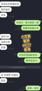 台南定點茶-小花葵/160/46/19/E