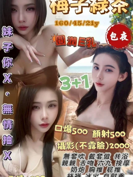 桃園定點茶-梅子綠茶/160/45/21/E