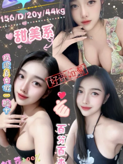 台北定點茶-糖芯/156/44/20/D