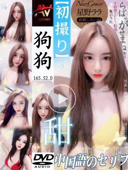 新北定點茶-狗狗/165/52/?/D